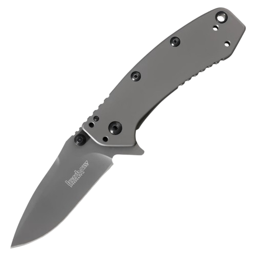 Kershaw Cryo Assisted Opening Fine Edge Drop Point Folding Knife